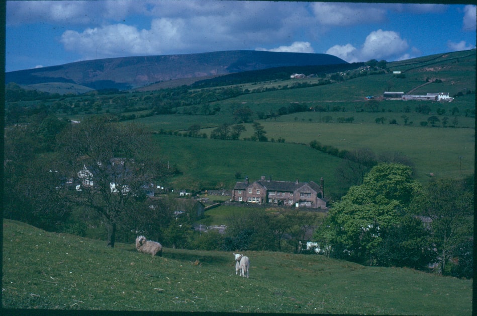 ENE20151124006 - Roughlee with Pendle Hill in background- Stanley Bracewell Collection (n.d.)